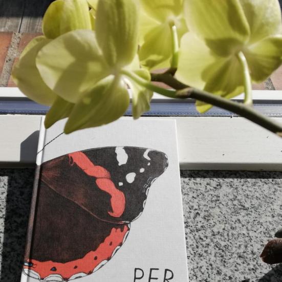 Bogen "Per" i en vindueskarm med en blomst