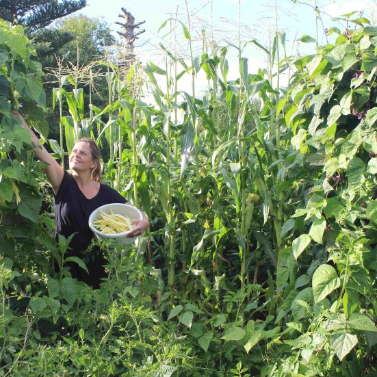 Kvinde der høster grønsager i haven