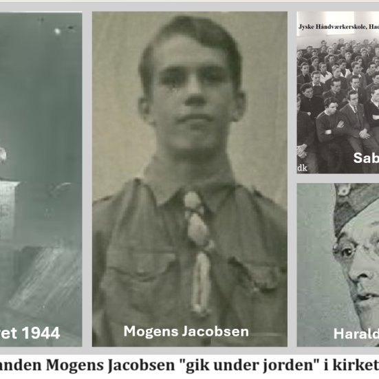 Billeder fra Horsens