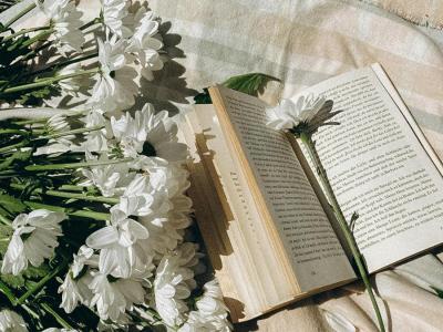 Bog og blomster på et tæppe