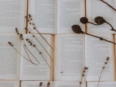 Bogsider med tørrede blomster ovenpå