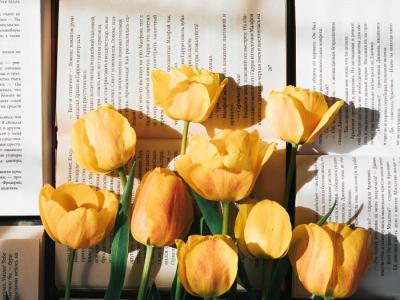 Gule tulipaner ovenpå en bog