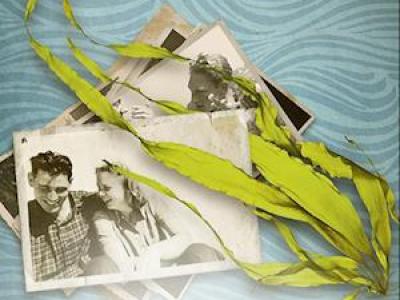 Morfar åndede med havet af Trude Teige