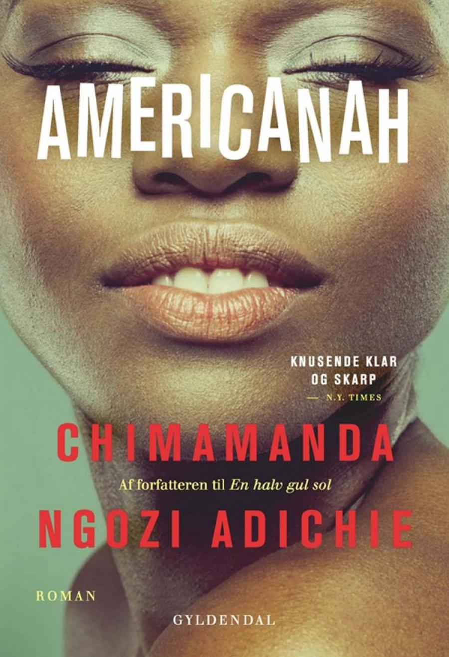 Americanah af Chimamanda Ngozi Adichie