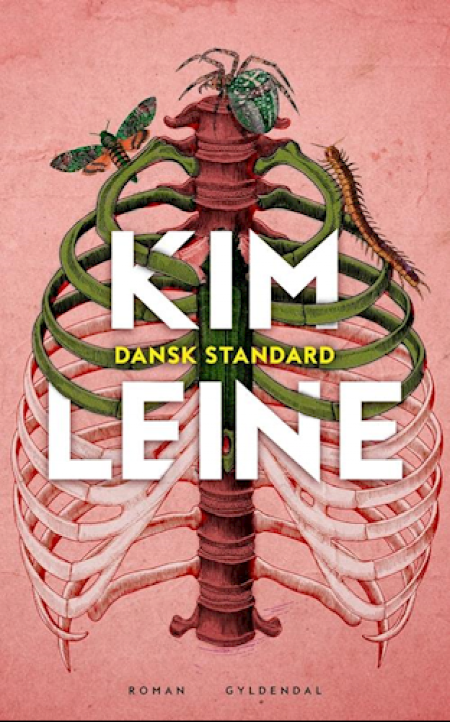 Forside til Kim Leines "Dansk standard"