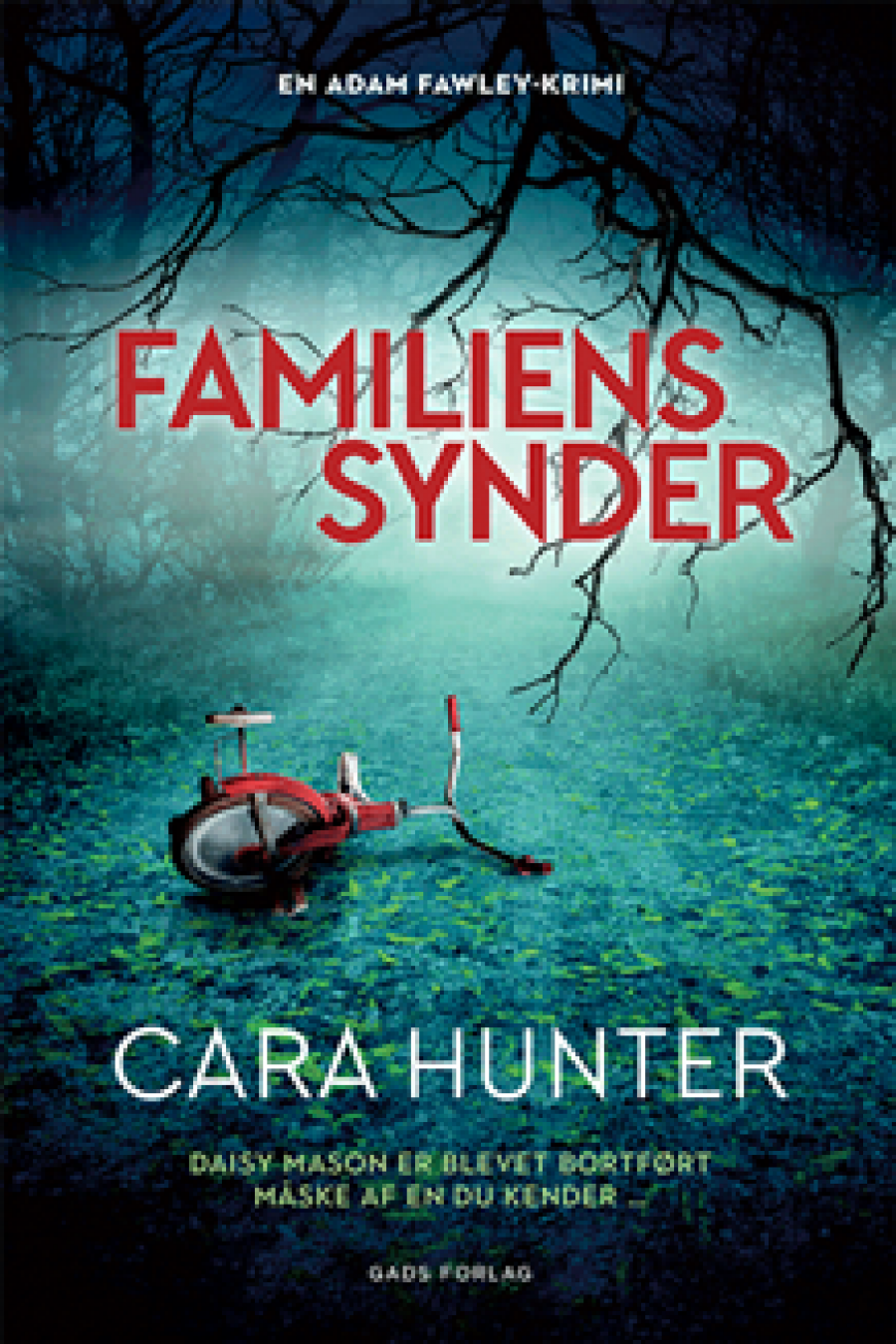 Familiens synder af Cara Hunter