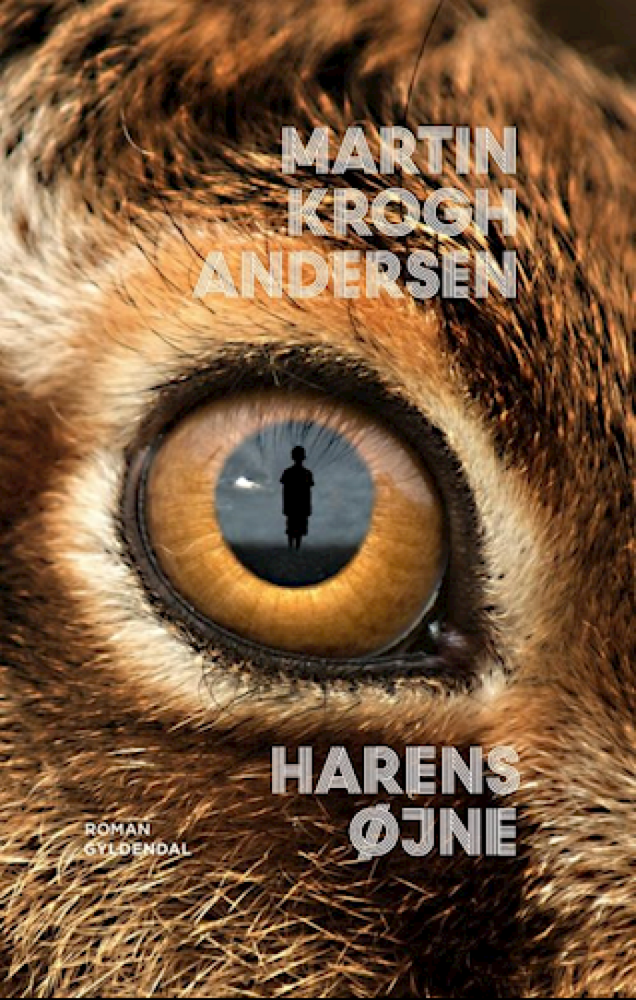 Forside på Martin Krogh Andersens roman "Harens øjne"