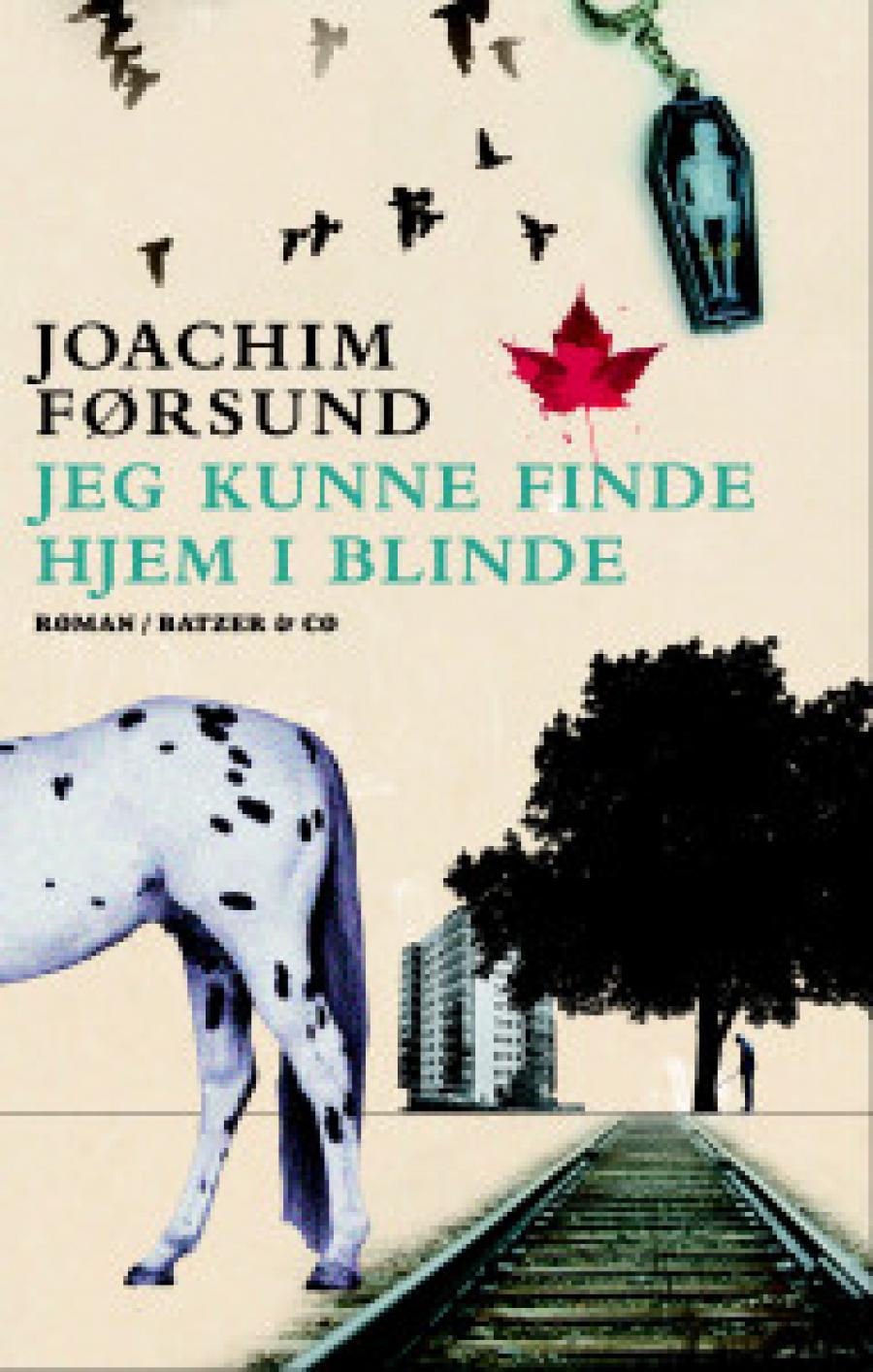 Jeg kunne finde hjem i blinde af Joachim Førsund