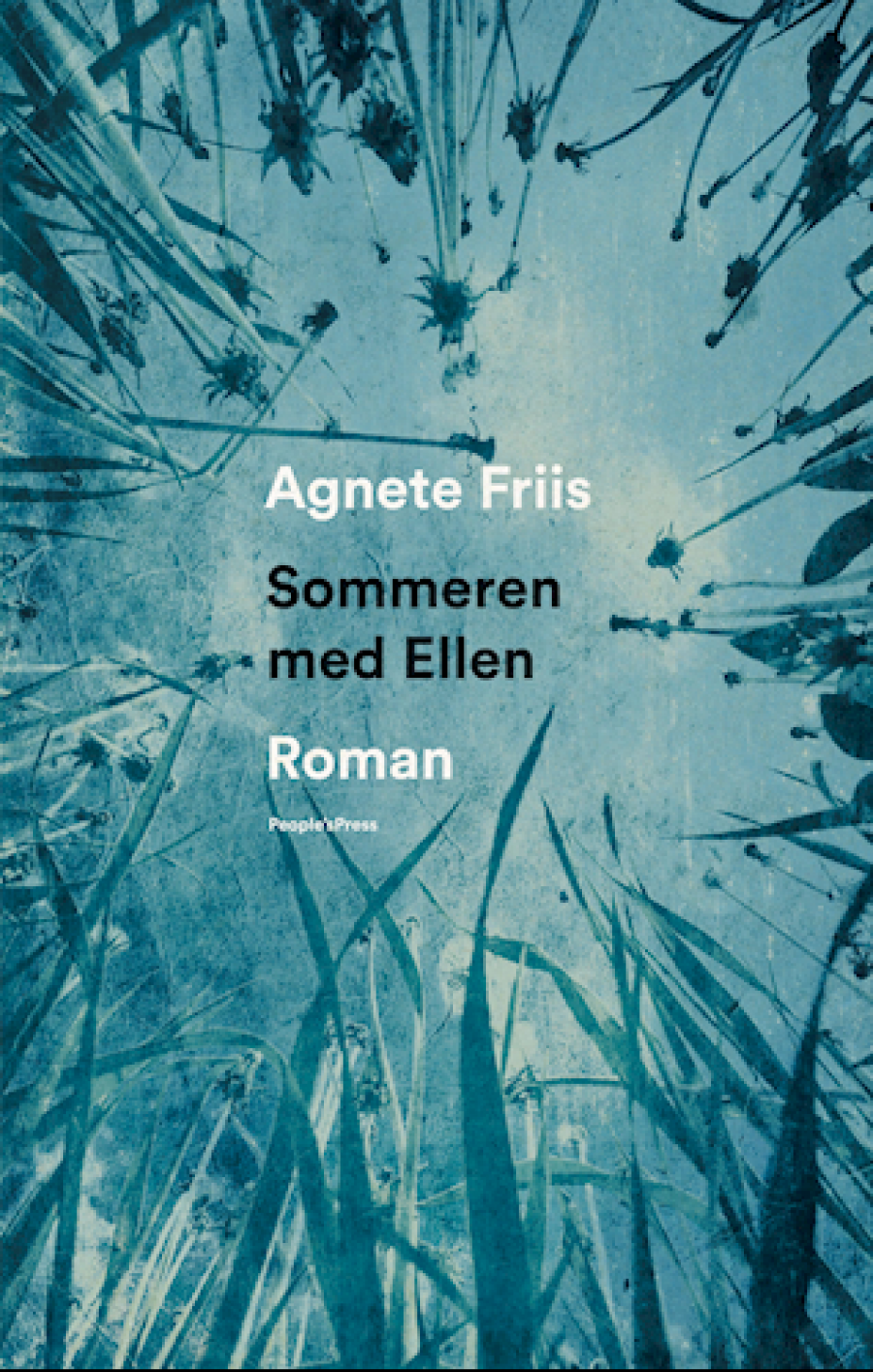 Forside til bogen Sommeren med Ellen af Agnete Friis