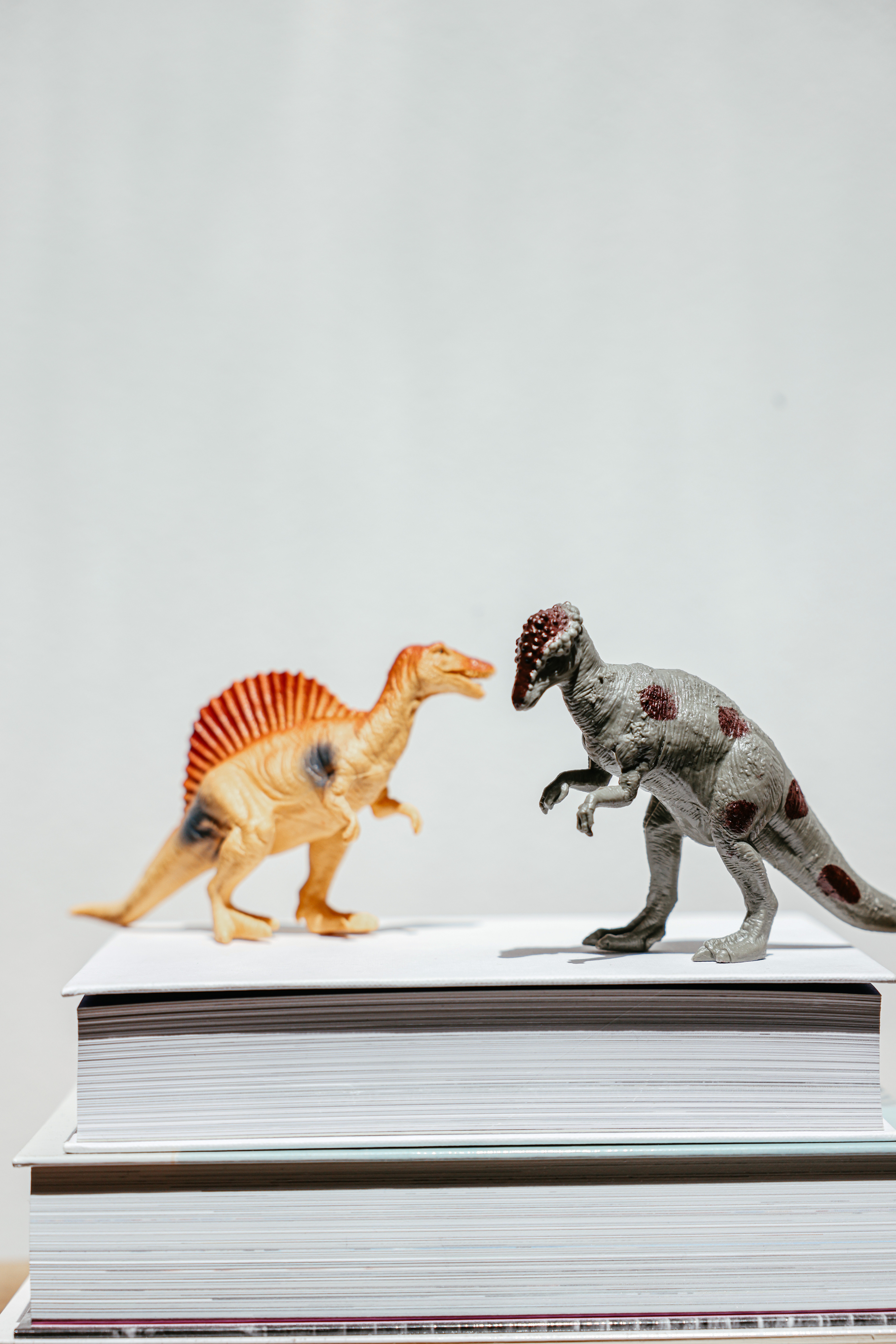 Lave om Socialisme dom Krea i børnebiblioteket: Lav dit eget dinosaurer-bogmærke | Horsens  kommunes biblioteker